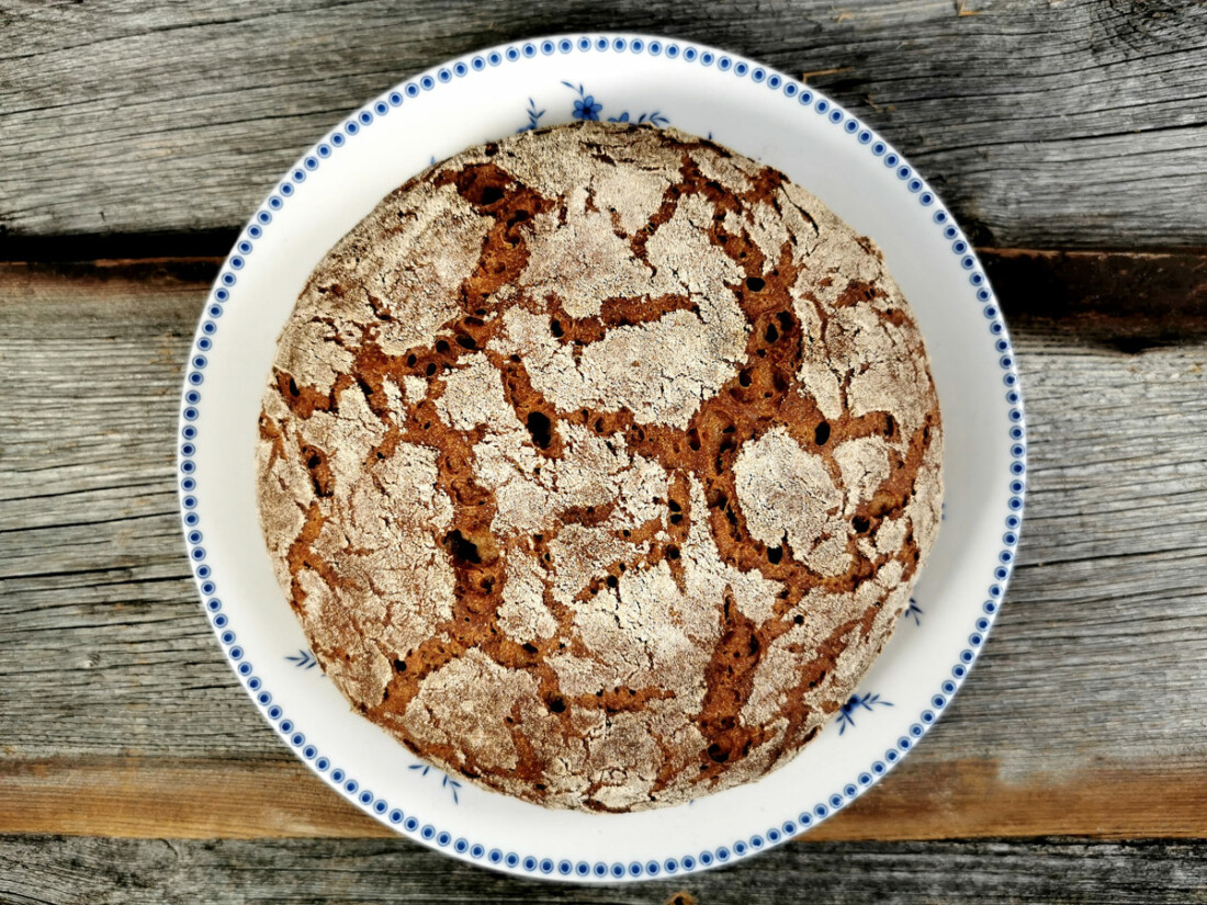 Alles was du über Roggen beim Brotbacken wissen musst